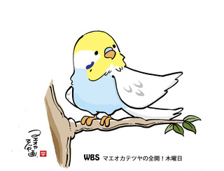 いんこ.jpg