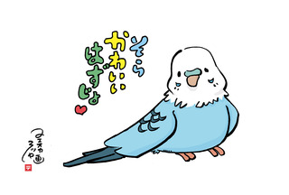 そら.jpg