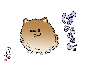 ぽめらにあん.jpg