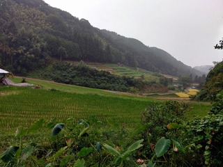 IMAG0375-001.jpg