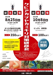 R3chirasi_page-0001.jpg