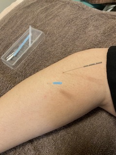 S__160727047.jpg