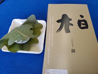 image0.jpeg