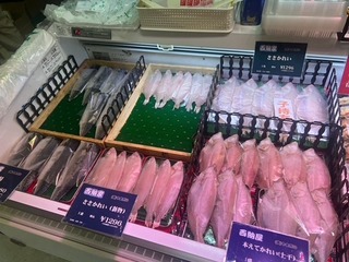 image11.jpeg