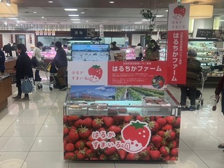 image12.jpeg