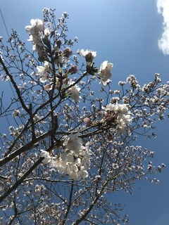image15.jpeg