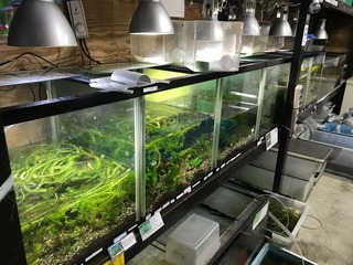 image6.jpeg