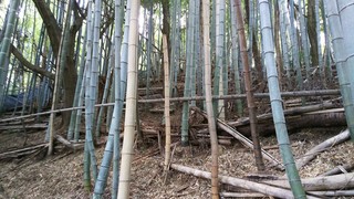 line_84835812977310.jpg