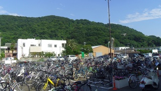 IMGP1126-1.jpg