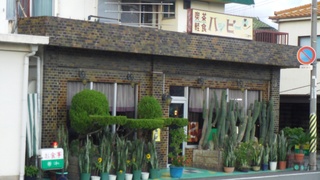 IMGP1736-1.jpg