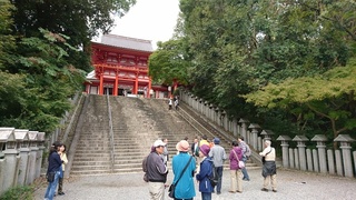 DSC_3080-1.jpg