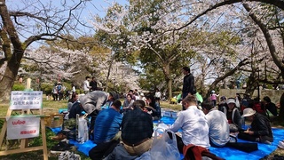 DSC_5196-1.jpg