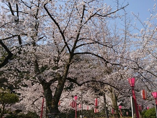 IMG_20190406_090222.jpg