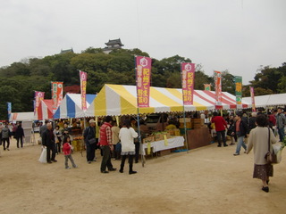CIMG2770.JPG