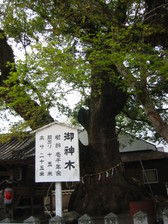 080329 048.jpg