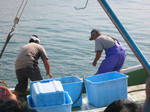 080923 031.jpg