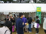 081116H_tFX^ 028.jpg
