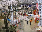 090405 016.jpg