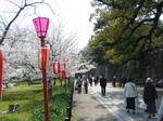090405 067.jpg