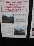 091012t? 006.jpg