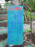 091012t? 011.jpg
