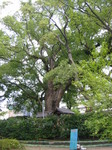 091012t? 013.jpg