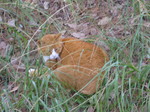 091012t? 031.jpg