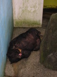 091012t? 035.jpg