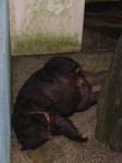 091012t? 037.jpg