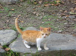 091012t? 039.jpg
