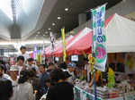 100-0036_IMG.JPG
