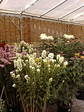 20071023e.jpg