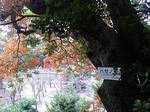 20071023n[mLgt.jpg