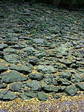 20071027t.jpg