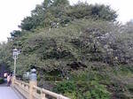 20071030~3.jpg