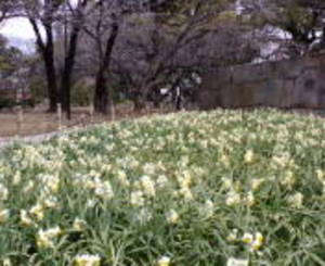 20080304.jpg