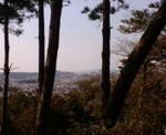 20080307HtR.jpg