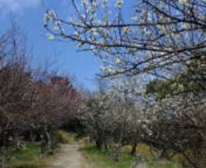 20080307HtR~.jpg