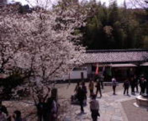 200803296.jpg