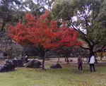 20081130gt.jpg