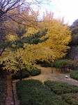 20081207C`E3Q.jpg