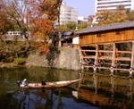 200911071LD.jpg