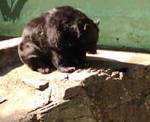 20091107xjO|.jpg