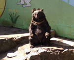 20091107beni-.jpg
