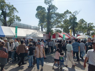 CIMG4356.JPG