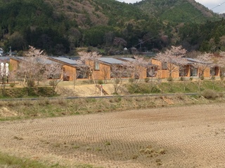 IMG_4350.JPG