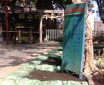 kusunoki090919.jpg