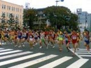 s1271214248[1].jpg