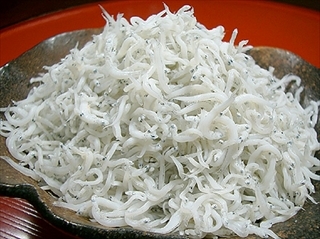 sirasu.jpg