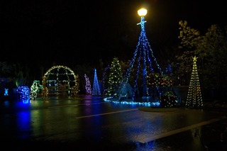 DSC01081.jpg